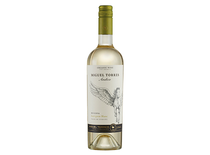 Ekologiškas baltasis sausas vynas ANDICA SAUVIGNON BLANC